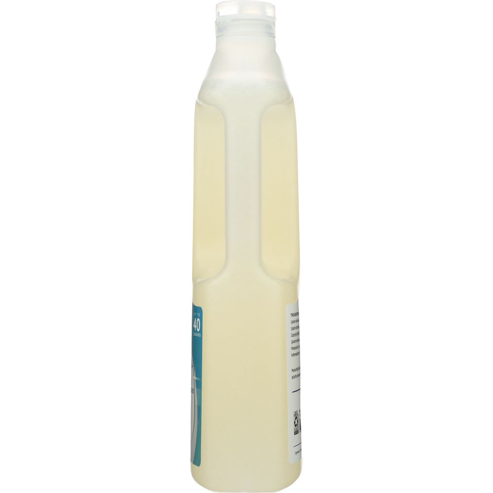EARTH FRIENDLY: Wave Dishwasher Gel Free and Clear, 40 oz