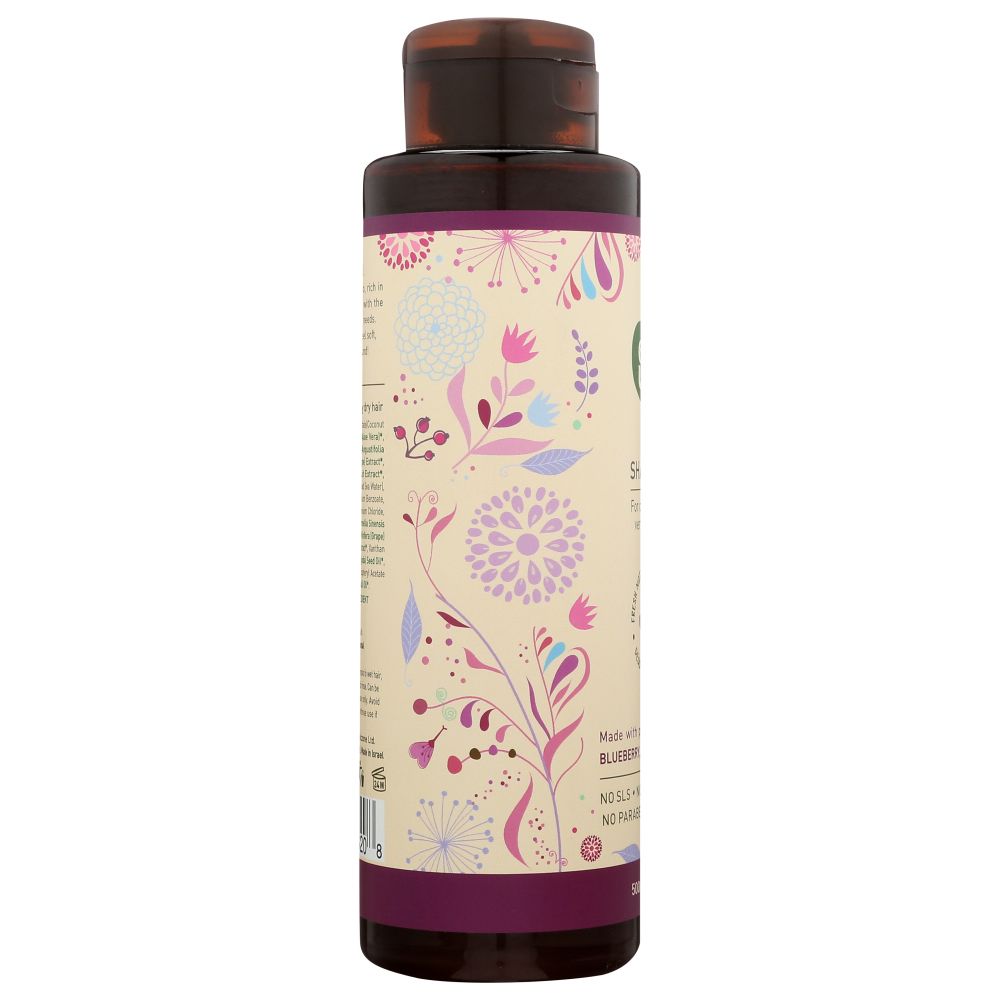 ECOLOVE: Vegan Purple Shampoo, 17.6 oz