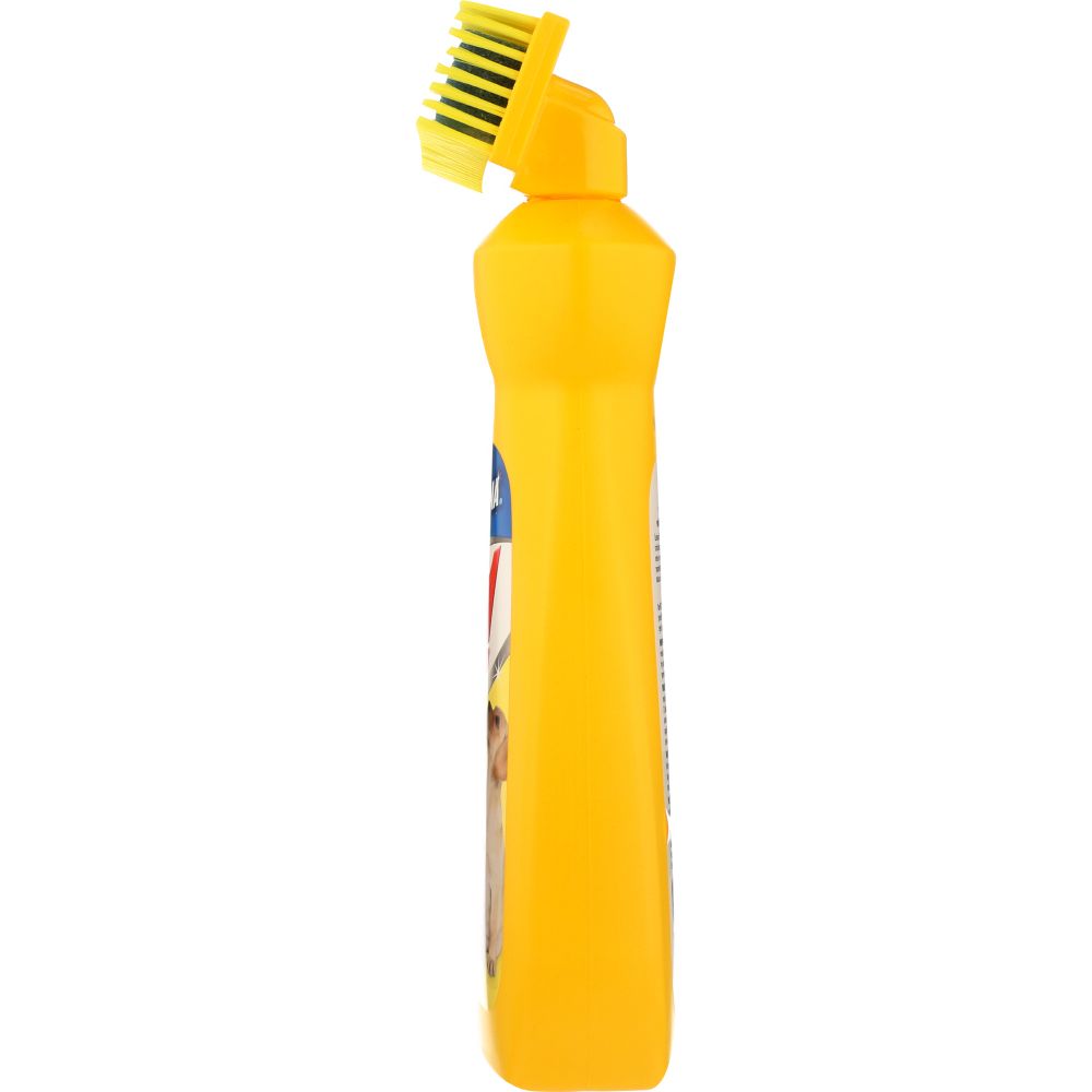 CARBONA: 2 In 1 Oxy-Powered Pet Stain & Odor Remover, 22 fo